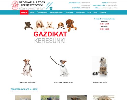 weboldal készítés